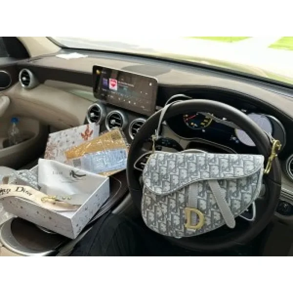 Christian Dior Handbag For Women (SW288)
