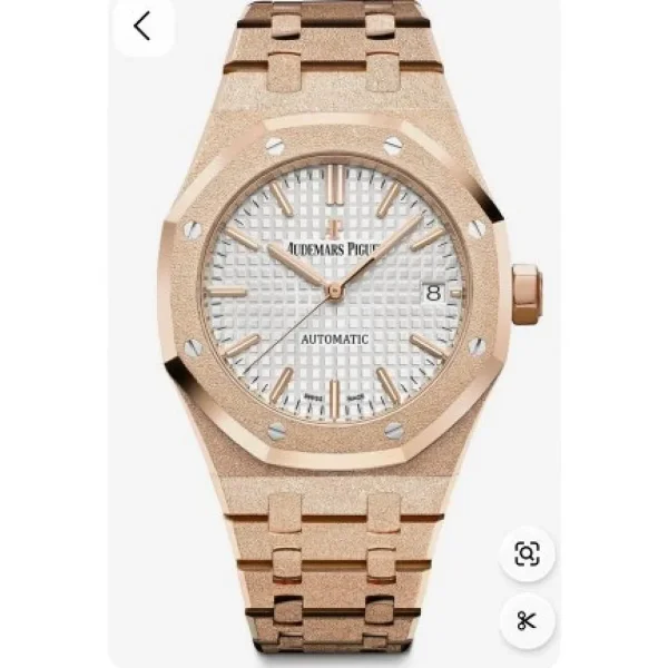 Audemars Piguet Watch For Men (SW06)