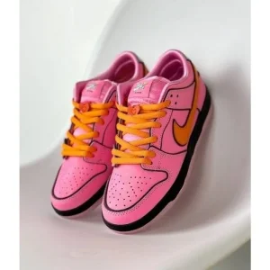 Nike Sb Dunk Blossom Pink Shoes For Men (SW1798)