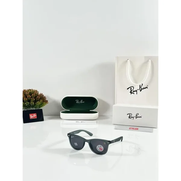 Rayban Sunglasses (SW348)
