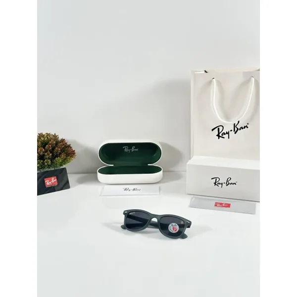Rayban Sunglasses (SW348) - Image 2