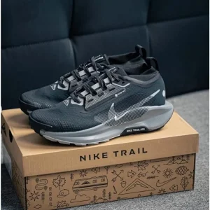 Nike Pegasus Trail 5 Black Wolf Shoes For Men (SW1352)