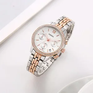 Fossil Watch Cecile For Women (SW919)