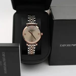 Emporio Armani Watch Classic For Women (SW948)