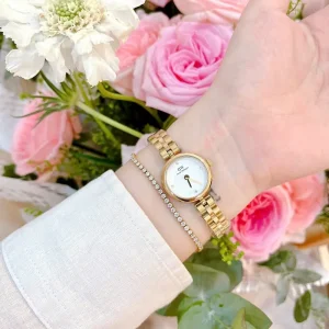 First Copy Daniel Wellington Watch (SUP1382)