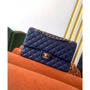 First Copy Chanel Handbag (SUP1945)