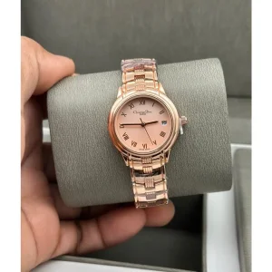 Stylish Christian Dior Watch For Women (SUP267)