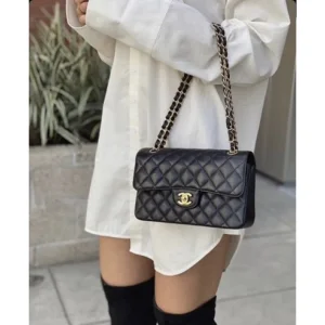 First Copy Chanel Handbag (SUP2376)