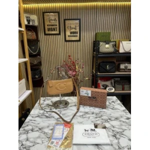 First Copy Coach Handbag (SW3183)