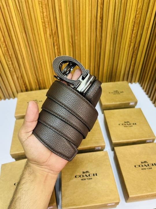 First Copy Coach Belt (SW2796)