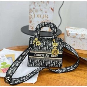 First Copy Christian Dior Handbag For Women (SW2221)