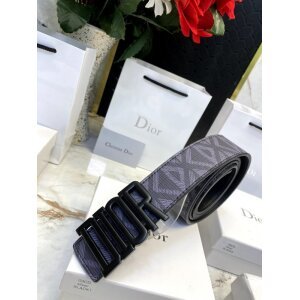 First Copy Dior Belt (SW2787)