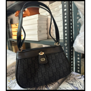 First Copy Christian Dior Handbag For Women (SW2229)