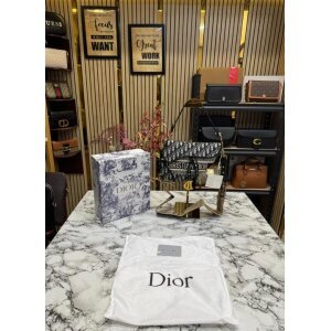 First Copy Christian Dior Handbag For Women (SW2237)