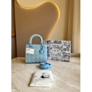First Copy Christian Dior Handbag For Women (SW2247)