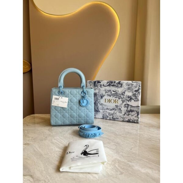 First Copy Christian Dior Handbag For Women (SW2247)
