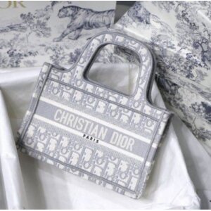 First Copy Dior Handbag For Women (BOT2001)