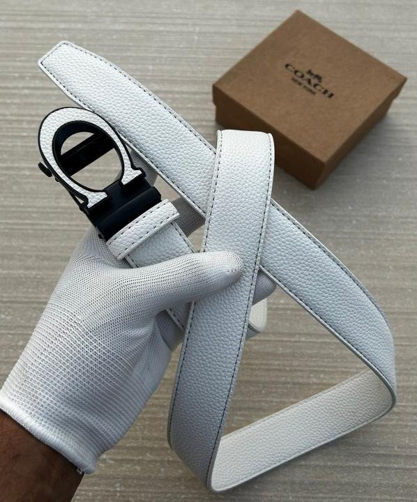 First Copy Coach Belt (SW2924)