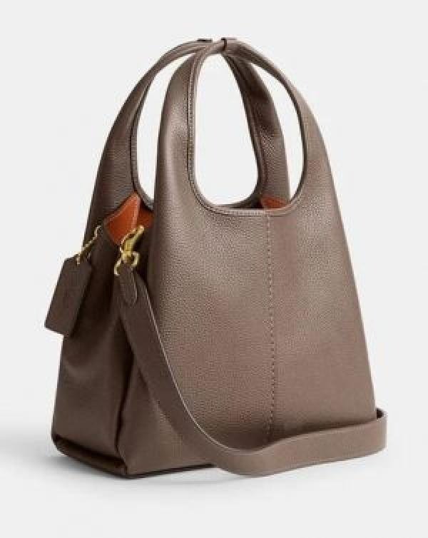 First Copy Coach Handbag (SW6828)