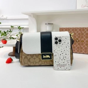 First Copy Coach Handbag (SW6901)
