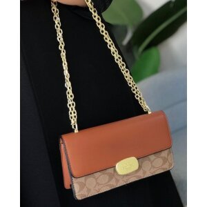 First Copy Coach Handbag (SW6905)