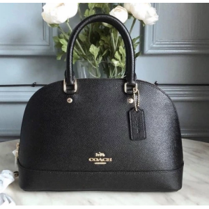 First Copy Coach Handbag (SW7196)