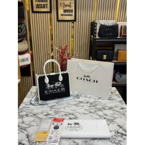 First Copy Coach Handbag (SW7003)