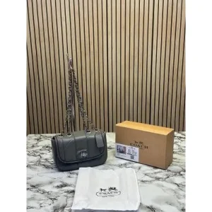 Coach Handbag With OG Box (FT613)