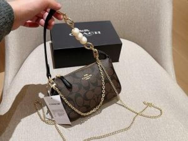 Coach Nolita Applique Handbag With Box (SW9701)