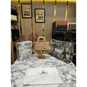 Christian Dior Handbag With Box And Dust Bag (FT26)