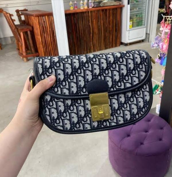 Christian Dior Oblique Handbag With OG Box & Dust Bag (SW9681)