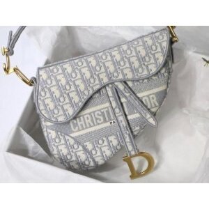 Christian Dior Saddle Bag Grey With Box Dust Bag (SW9653)