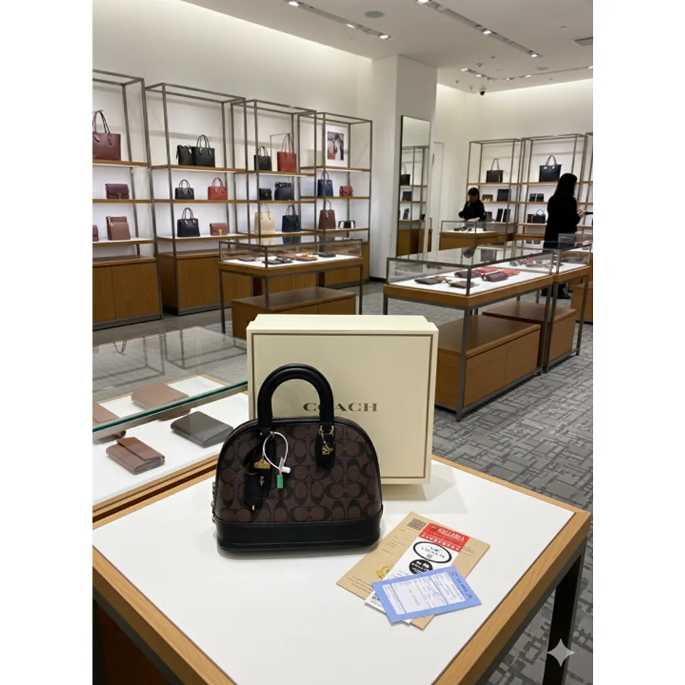 Coach Satchel Bag With OG Box & Dust Bag Black Brown (FT2716)