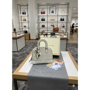 Coach Signature Canvas Bag With OG Box And Dust Bag (FT2721)