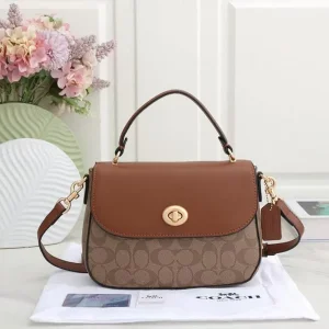 First Copy Coach Signature Canvas Bag With Box (FT2796)